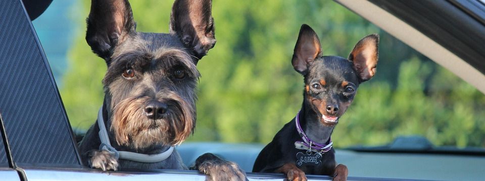 6 bước giao dịch hiệu quả với mô hình Spike and Ledge