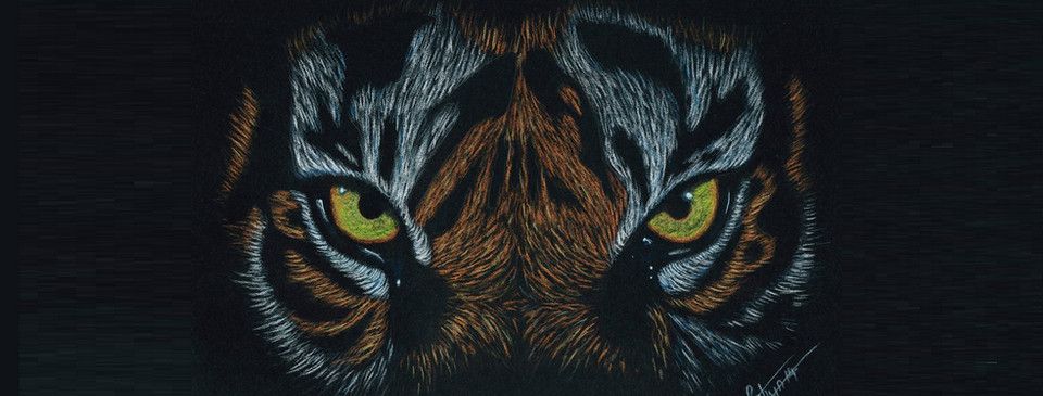 Phân tích Crypto đầu ngày 12/08 - Quý nhân xuất hiện đúng lúc