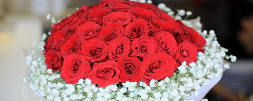 Nhân 20/11, xin tri ân Mr.Market, người thầy lớn của anh em Trader