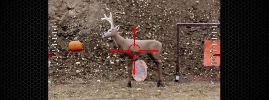 Các trader bị “cá mập” săn stoploss như thế nào? Học cách để trở thành thợ săn!