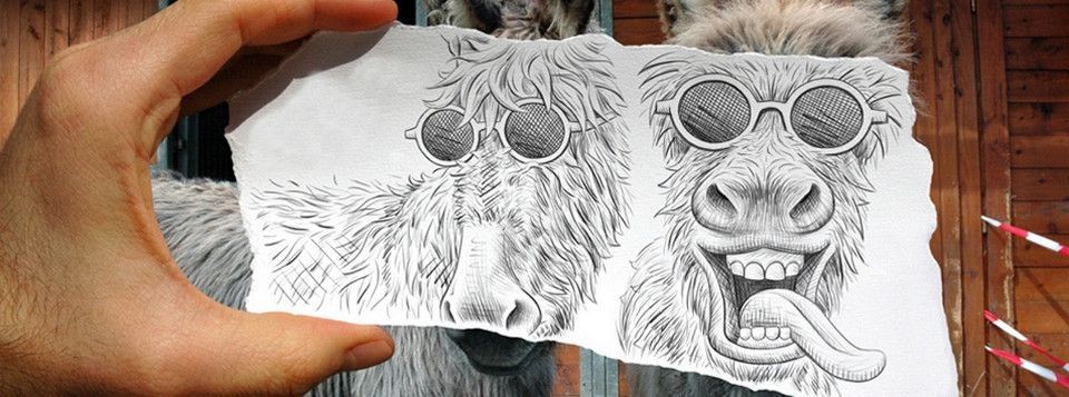 Một Công ty đầu tư Forex và Bitcoin vừa bị cảnh báo lừa đảo. Đang thiếu đại diện tại Việt Nam