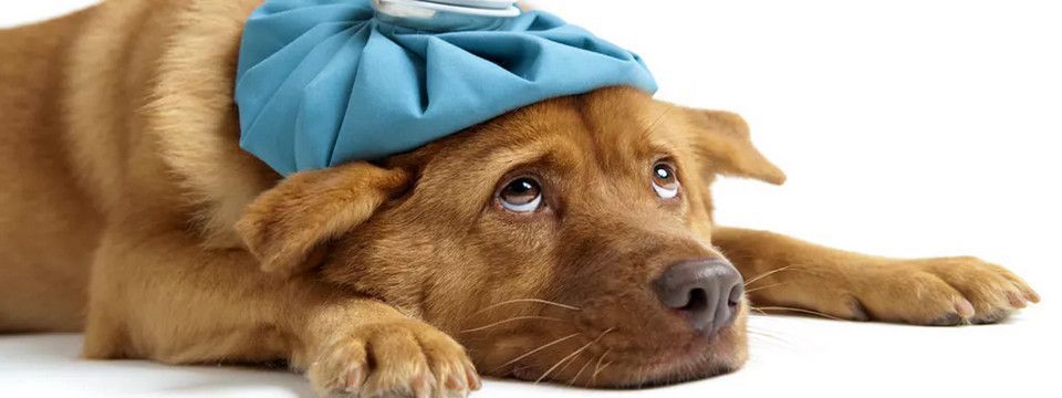 Phân tích Crypto chiều ngày 24/08 - Nội lực suy yếu