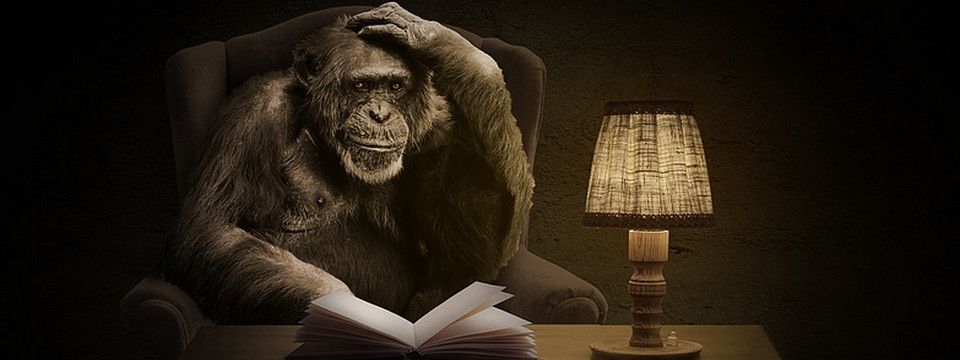 (Vui vẻ) Khi trader có lãi mà ai cũng biết. Vậy mới lạ