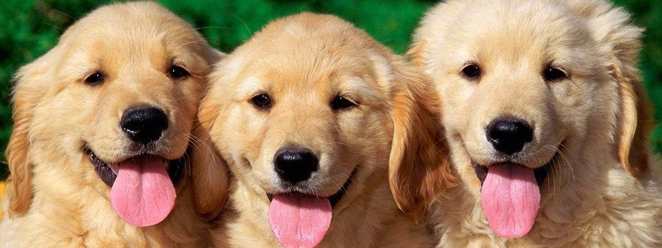 Bạn đã từng nghĩ đến một chiến lược 3 cây nến vô cùng mạnh mẽ chưa ?