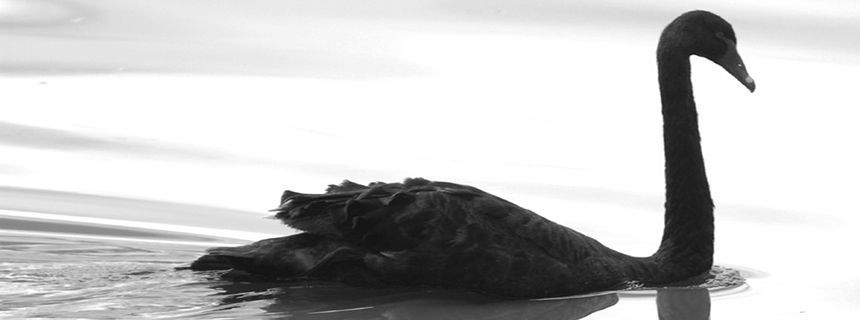 [Infographic] Điểm lại những sự kiện "Thiên nga đen" ảnh hưởng đến thị trường tài chính toàn cầu