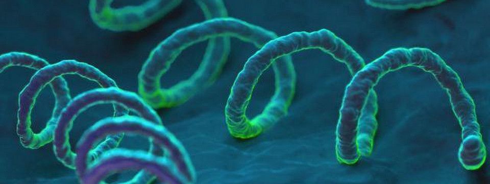 Phân tích Crypto tối ngày 24/09 - Không có gì phải xoắn