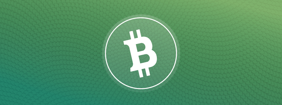 Bitcoin Cash BCCUSDT bay phấp phới - Đua tranh cùng Ripple Coin?