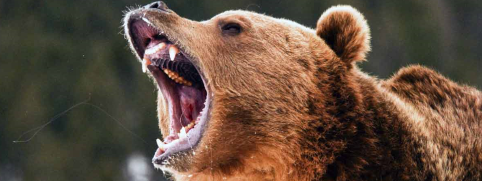 Anh em Crypto Trader đừng vội mừng, chúng ta vẫn đang trong thị trường giảm giá!