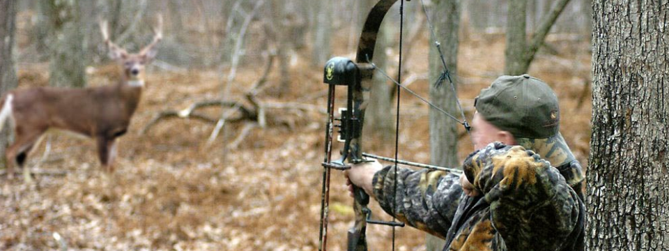 Chiến lược giao dịch bắt xu hướng cực kỳ đơn giản