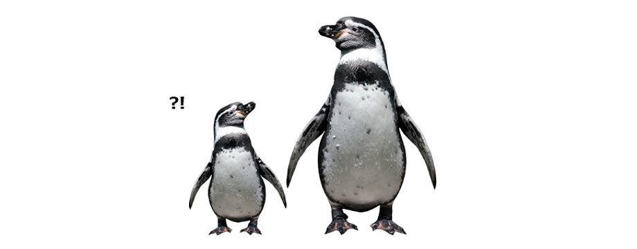 Bài học lớn cho cuộc đời của trader: Dừng lại việc so sánh mình với những người khác!