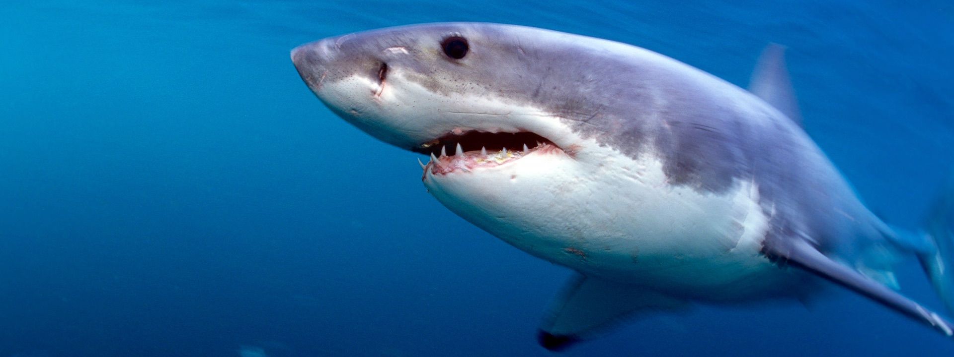 Phá vỡ giả (False Breakout) và cách xử lý khi giao dịch Bitcoin (phần 2)