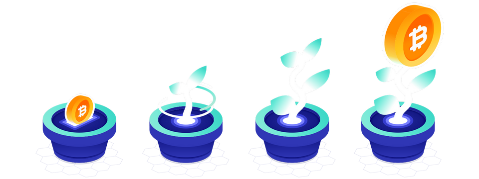 Vẫn vững niềm tin Crypto sẽ không sụp đổ