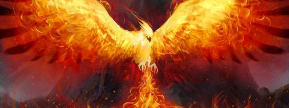 (Quan điểm) Crypto phải chết để crypto hồi sinh, và hồi sinh cả các dự án blockchain nữa