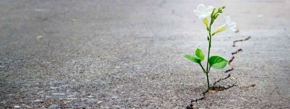 Bitcoin sẽ lên lại từ đây? - Cảnh báo về khả năng xuất hiện trở lại của các "chuyên gia"