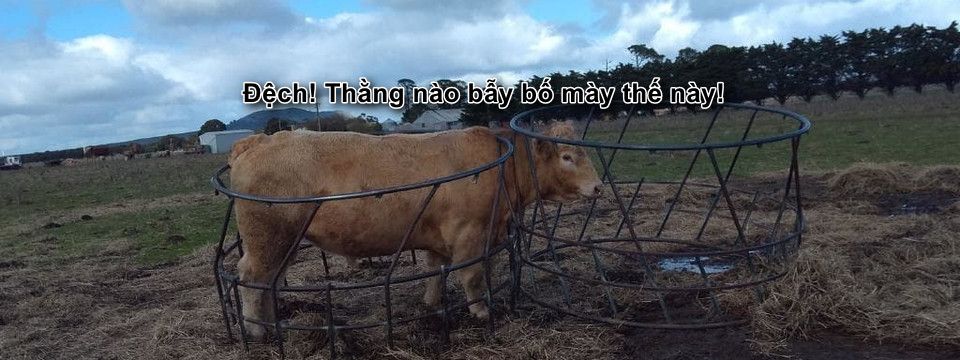 Biểu đồ ngày của Bitcoin - Dặt dẹo và đầy cạm bẫy