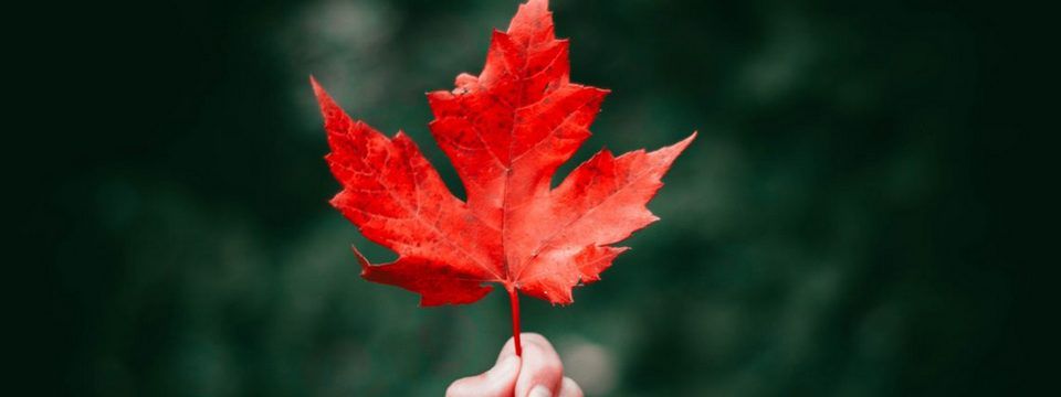 Một sàn giao dịch vừa bị hack gần 1000 BTC và tuyên bố đóng cửa không trả tiền