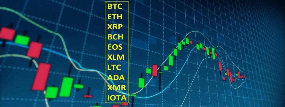 Ripple và Bitcoin Cash : Đường đi về đâu?