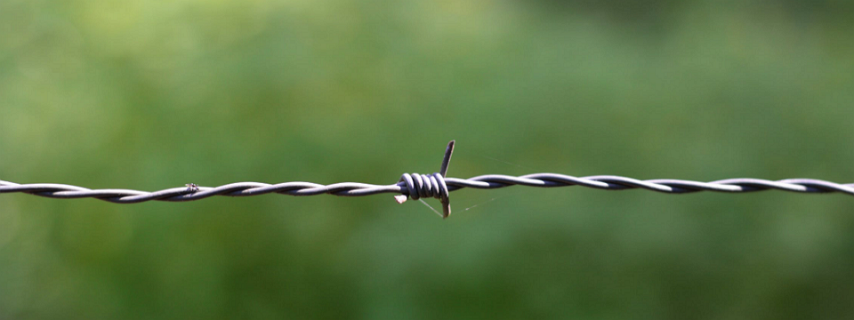 Nói về những rào cản của trader – Phần 1: Xác suất