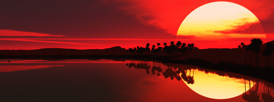 Phân tích Crypto chiều ngày 15/11 - Trong bóng chiều quạnh quẽ