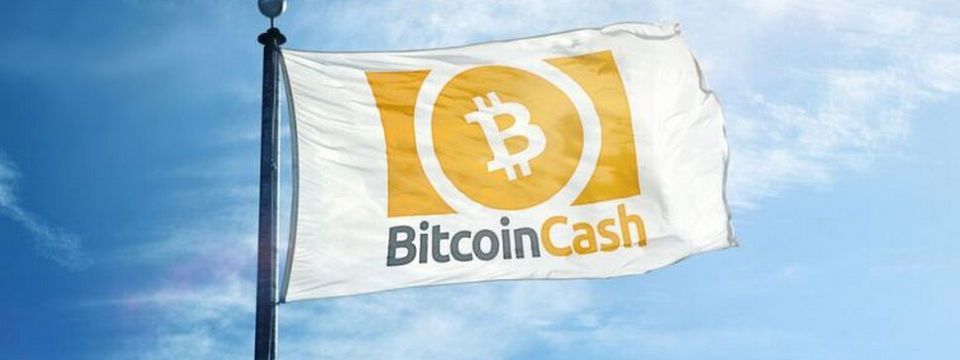 Bitcoin ABC thắng cuộc - fake Satoshi gục ngã