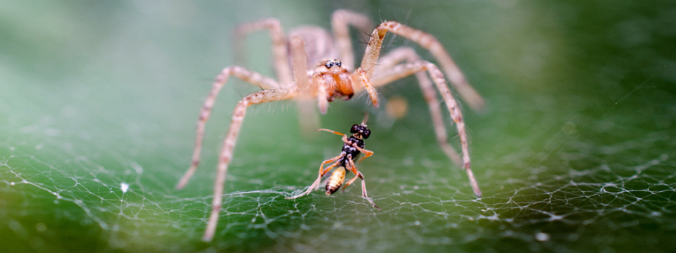 [Cảnh báo] Lại giăng 'bẫy' tiền ảo lãi khủng