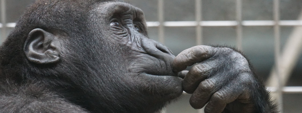 Lời khuyên tốt nhất khi đầu tư chứng khoán?