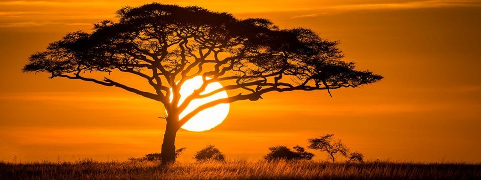 Phân tích Crypto đầu ngày 04/12 - Lấp ló tia hi vọng tại vùng nguy hiểm