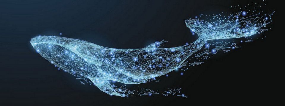 Lại nóng tiếp!!! Thêm 500 triệu $ BTC được di chuyển trong ngày hôm nay