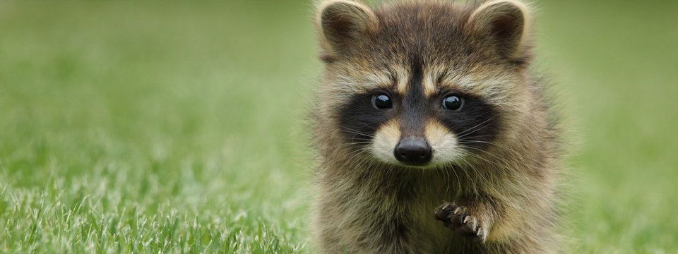 Gửi nhà đầu tư Crypto: Khôn ngoan lên hoặc từ bỏ cuộc chơi (phần 1)