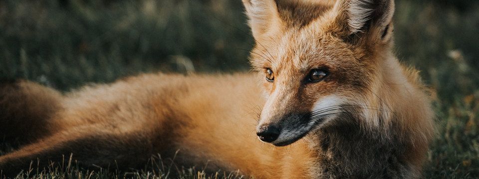 Gửi nhà đầu tư Crypto: Khôn ngoan lên hoặc từ bỏ cuộc chơi (phần cuối)