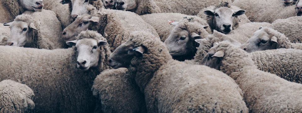 Hành trình đu đỉnh tới tỷ phú Crypto của CZ - CEO Binance: Bài học về lỗi tư duy