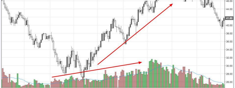 Volume - Chuyện chưa kể