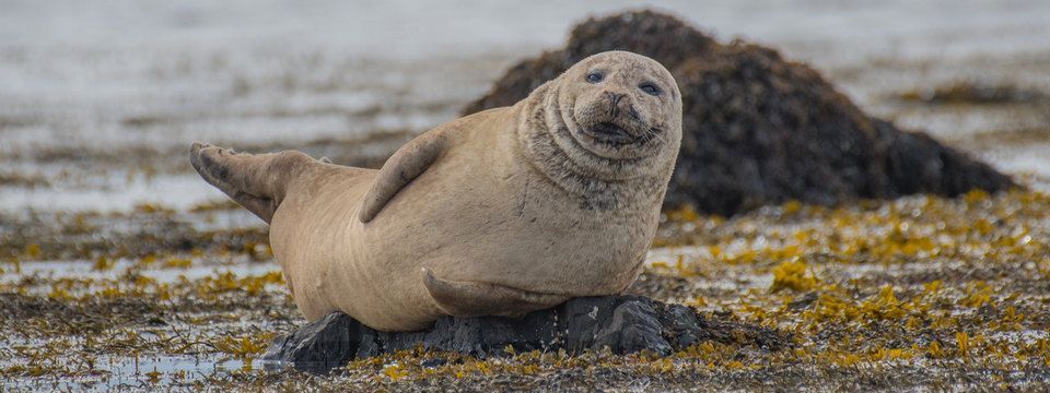 Hình vui vẻ cuối tuần giải trí cùng anh em