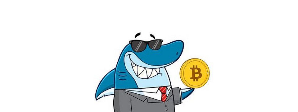 Phân tích bitcoin trung hạn ngày 24/12 - Vì sao quà Noel có thể là 5k5?