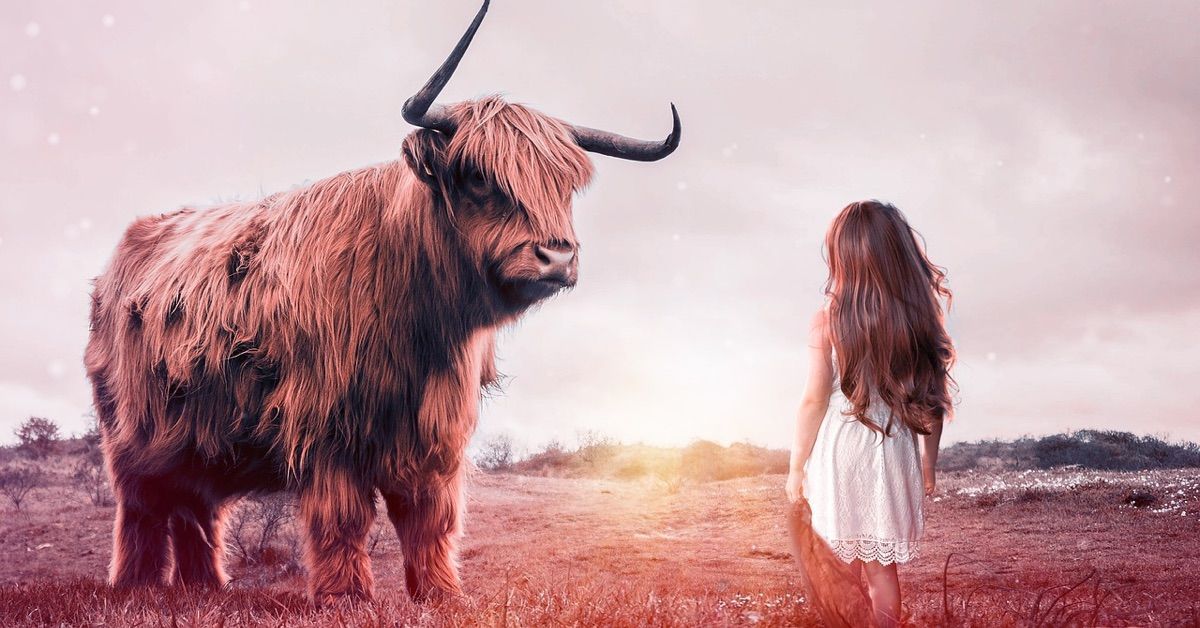 Phân tích Crypto đầu ngày 04/01 - Kịch bản nào cho Bò?