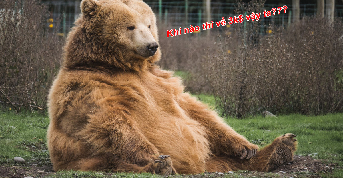 Khối lượng giao dịch giảm: Bitcoin đang đối mặt mốc 3k$?