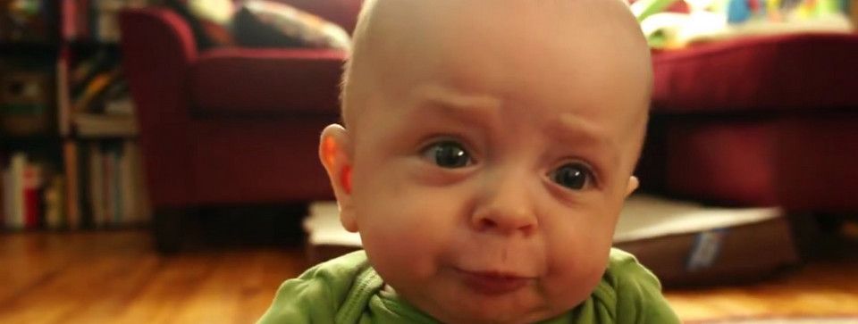 [Vui vẻ] Chả ai thèm quan tâm đến bọn Trader và Investor