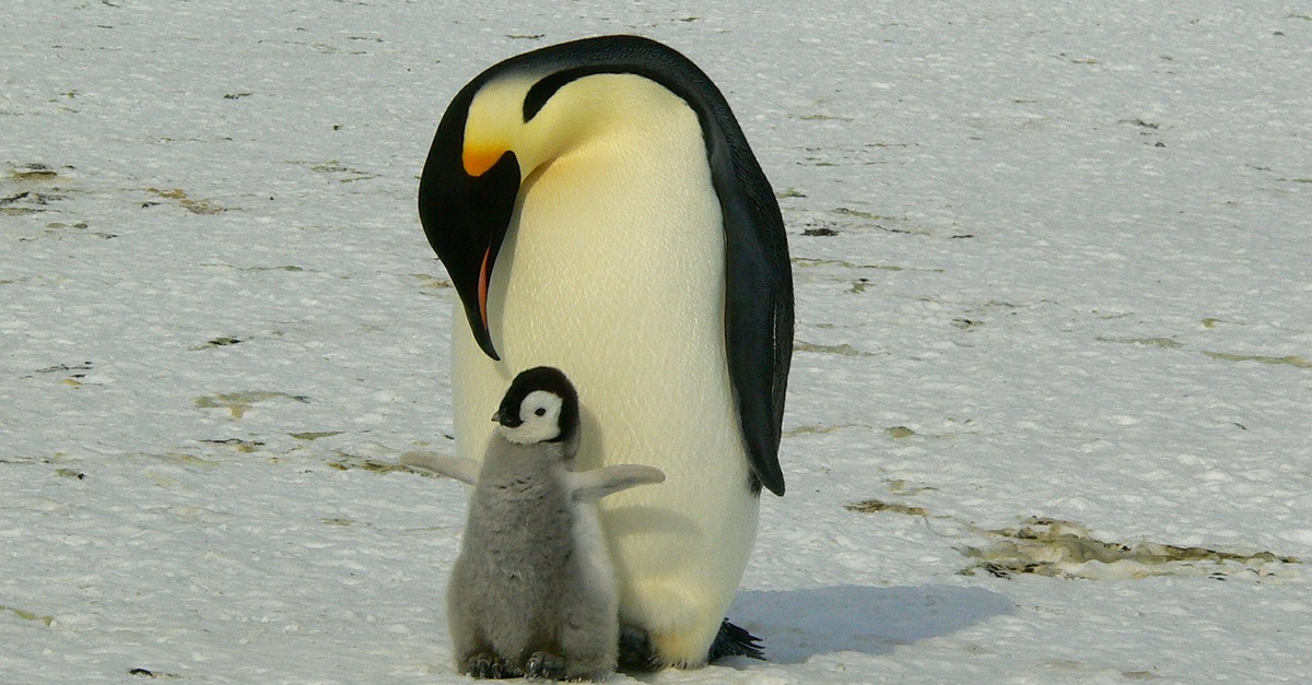 Tìm tài khoản mẹ có số 792804 tại sàn Exness