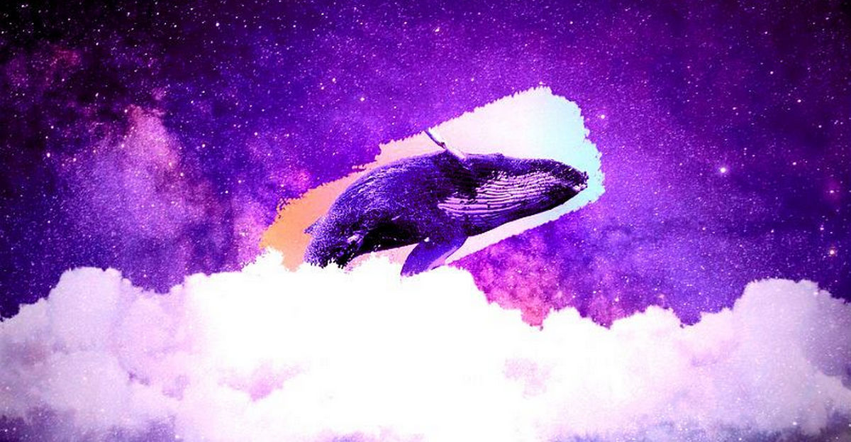 Rất nhiều USDC được di chuyển - thị trường sắp biến động mạnh?