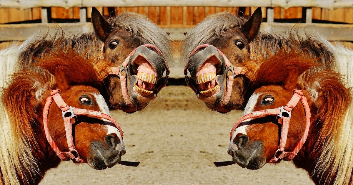 Phân tích Bitcoin đầu ngày 21/01 - Bị lừa những 2 lần. Bây giờ Bò phải sống sao?