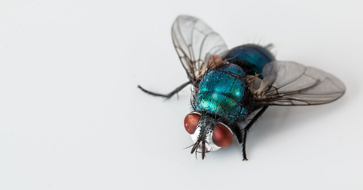 Nữ đại gia Việt vay vàng ngay đáy và cái kết đắng 10 năm nhìn lại. Trình độ trading là rất cần nhé