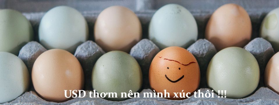 USD lại được chắp cánh bởi tin Mỹ mạnh, tuy nhiên hãy thật thận trọng nhé
