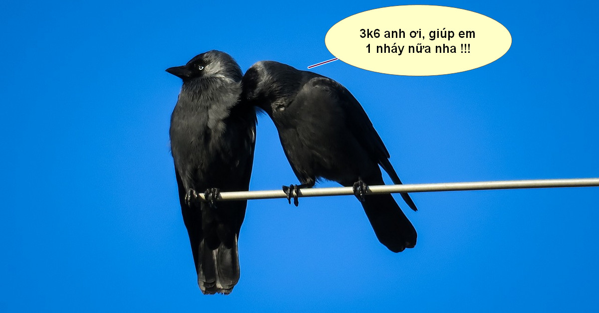 Phân tích Bitcoin chiều ngày 14/02 - Tin ở đồng chí 3k6