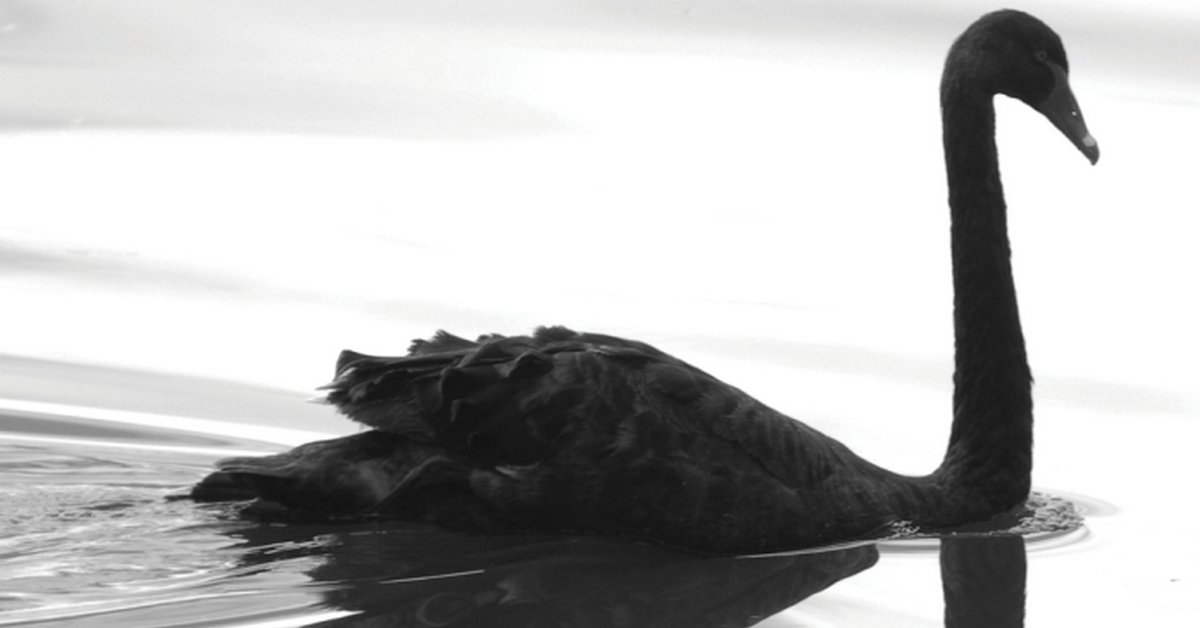 9 sự kiện "Black Swan" làm điên đảo thị trường tài chính [Phần 2]