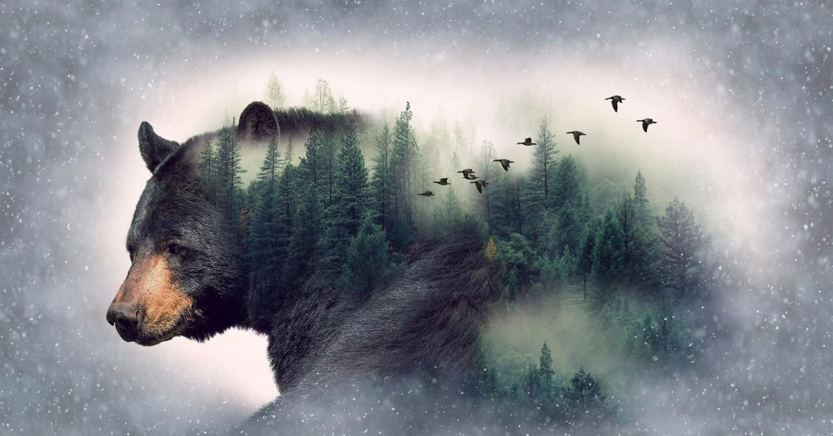 Phân tích chỉ số Dax và FTSE phiên Âu ngày 28/02 - Gấu vẫn đang lặng lẽ chờ...!