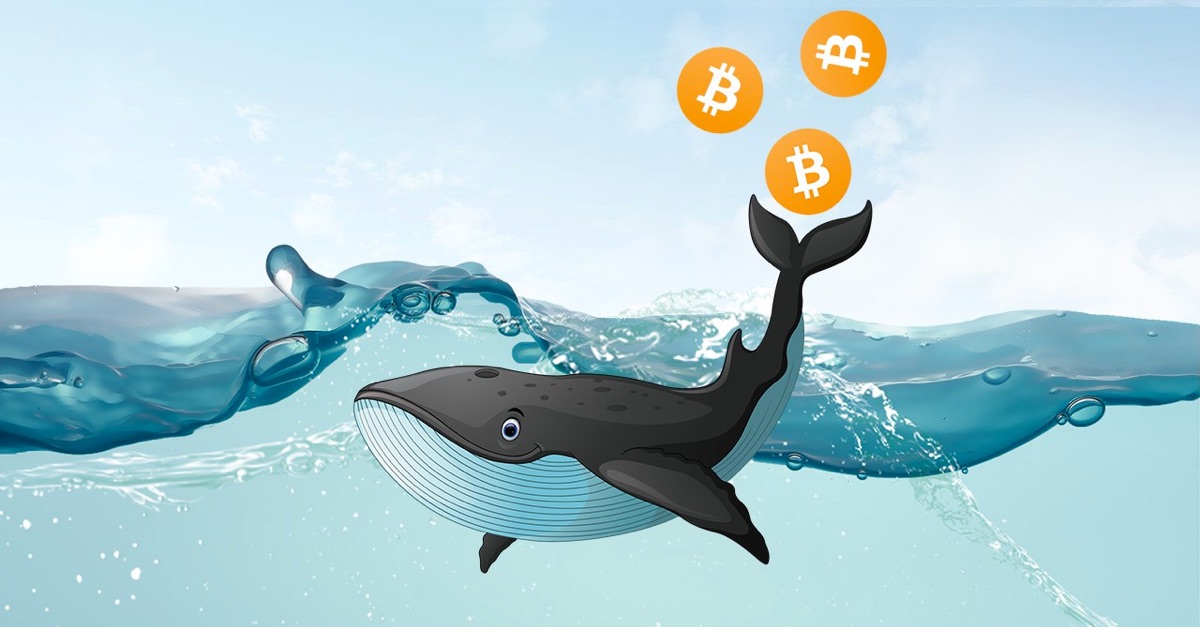 Phân tích Bitcoin tối ngày 14/03 - Mục đích viết bài này là gì?