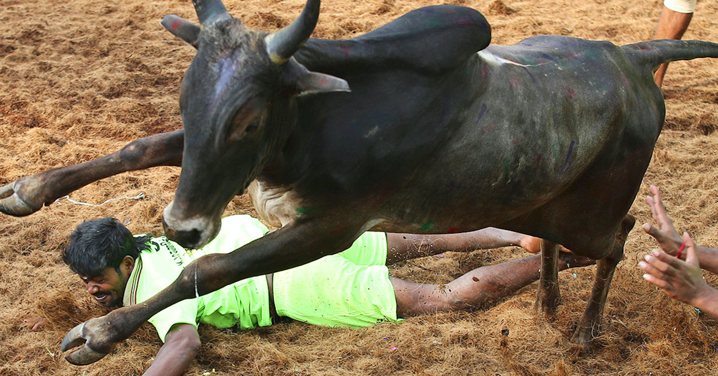 Chiến lược giao dịch Bull Trap - Kiếm lời từ những Trader bị mắc bẫy