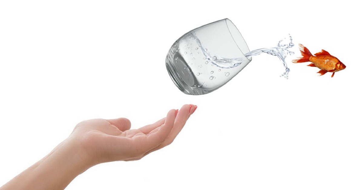 (Vui vẻ) Forex đã thay đổi cuộc đời tôi như thế nào?