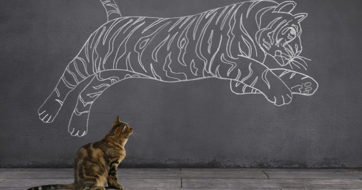 Cải thiện kết quả giao dịch bằng cách phân tích khối lượng (Volume) cho trader chứng khoán Mỹ (P2)