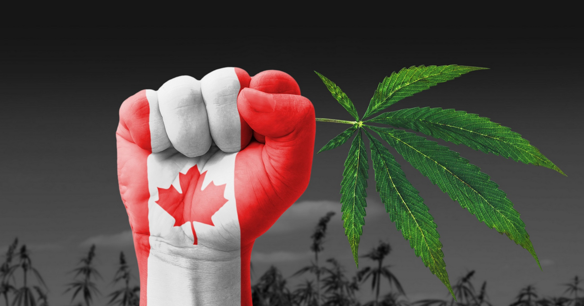 3 mã cổ phiếu "Cần Sa" dự là sẽ tỏa sáng trong tháng 4 này! Khả năng anh em bỏ lỡ cơ hội mất rồi